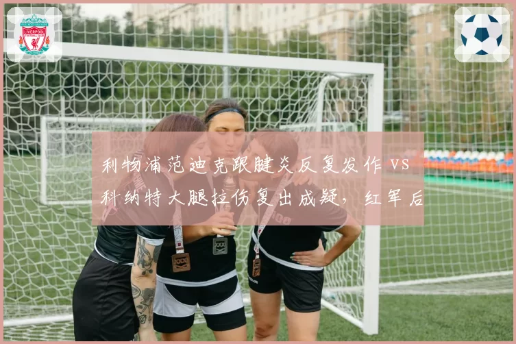 利物浦范迪克跟腱炎反复发作 vs 科纳特大腿拉伤复出成疑,红军后防双塔健康度决定争冠冲刺上限