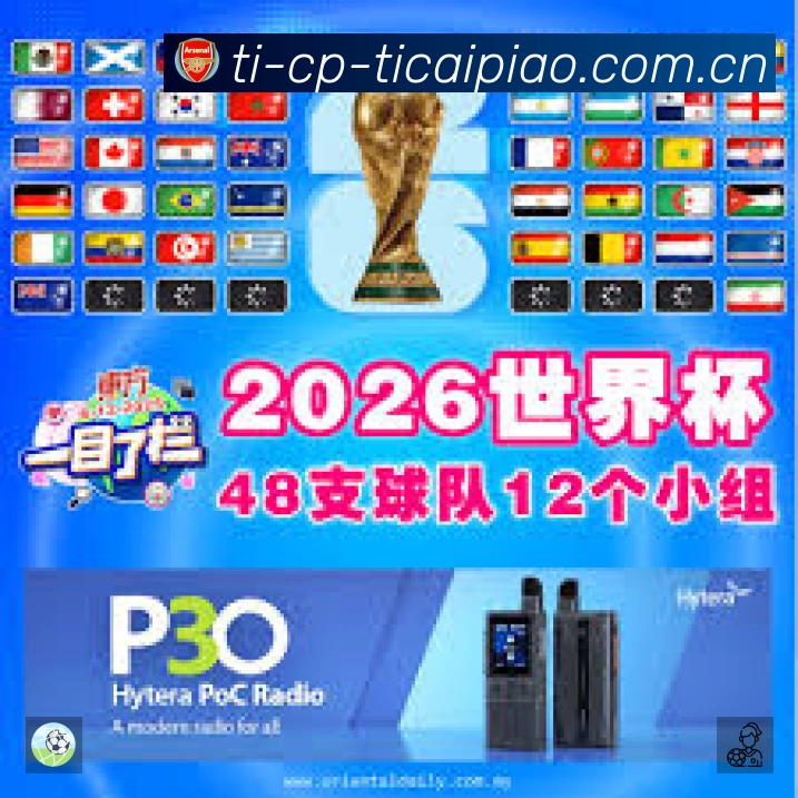 结构优化认证展示